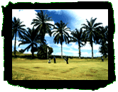 Takam Plantation Resort